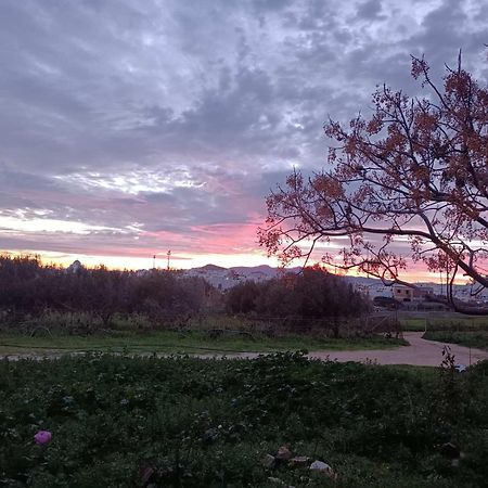 Ktima Dimitrios Villa Naxos City Buitenkant foto