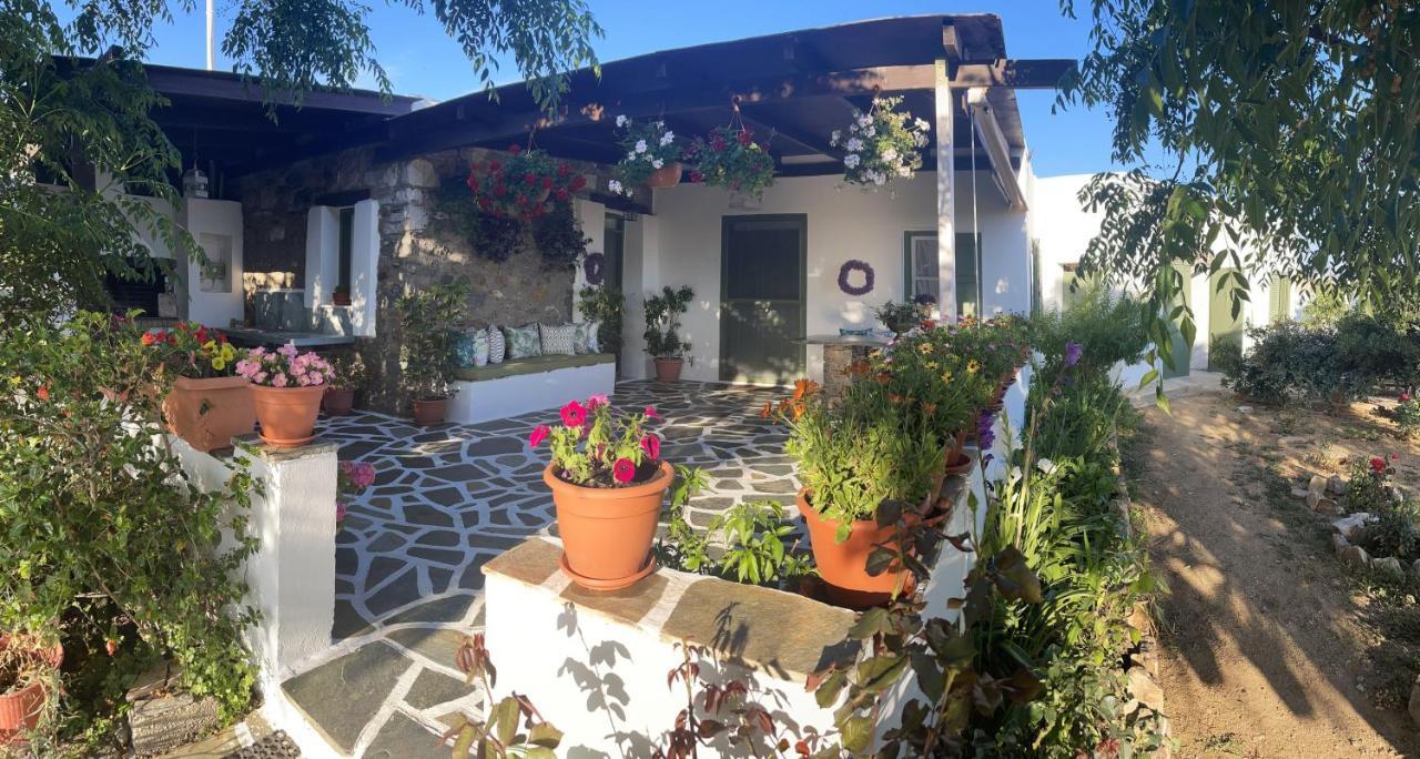 Ktima Dimitrios Villa Naxos City Buitenkant foto