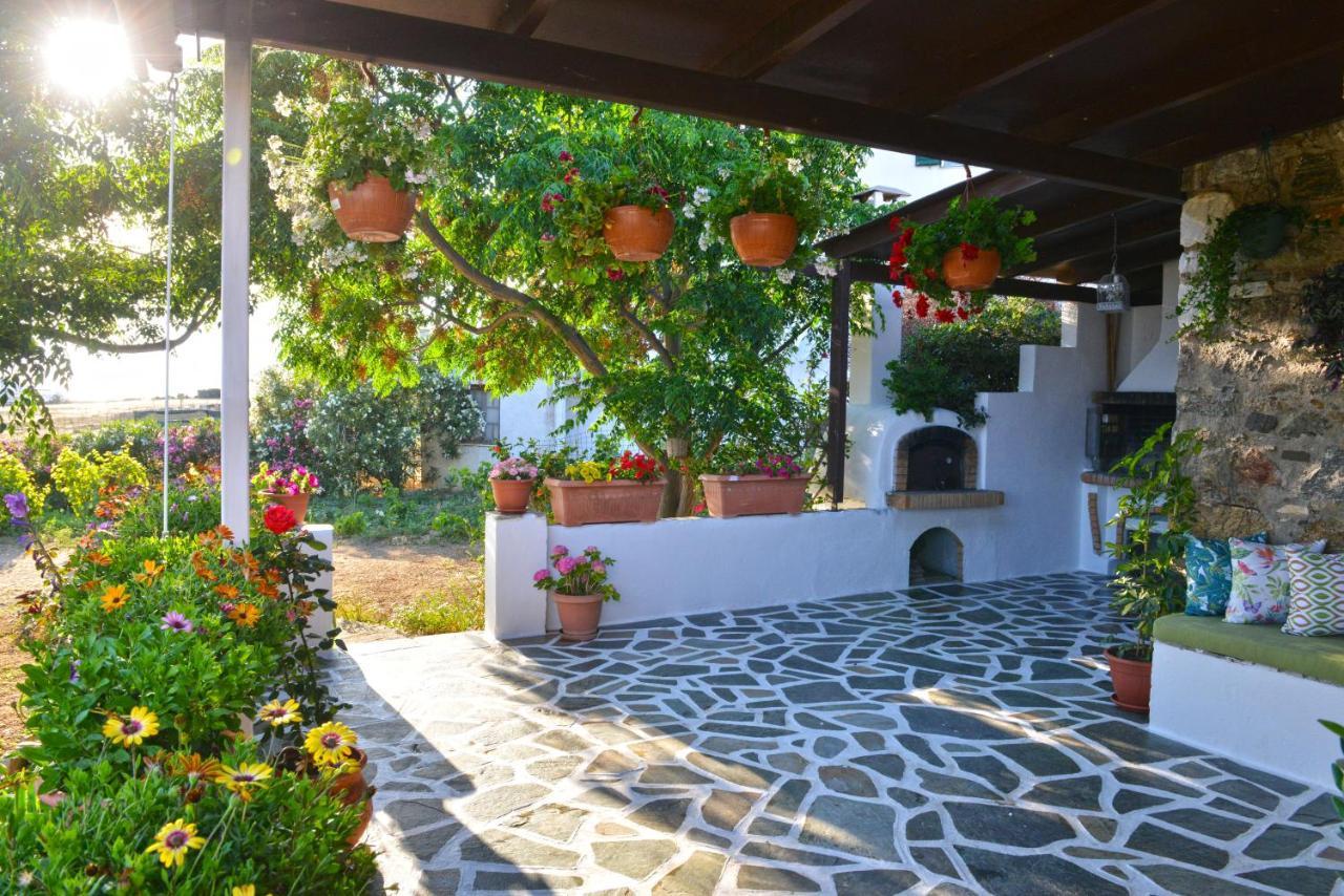 Ktima Dimitrios Villa Naxos City Buitenkant foto