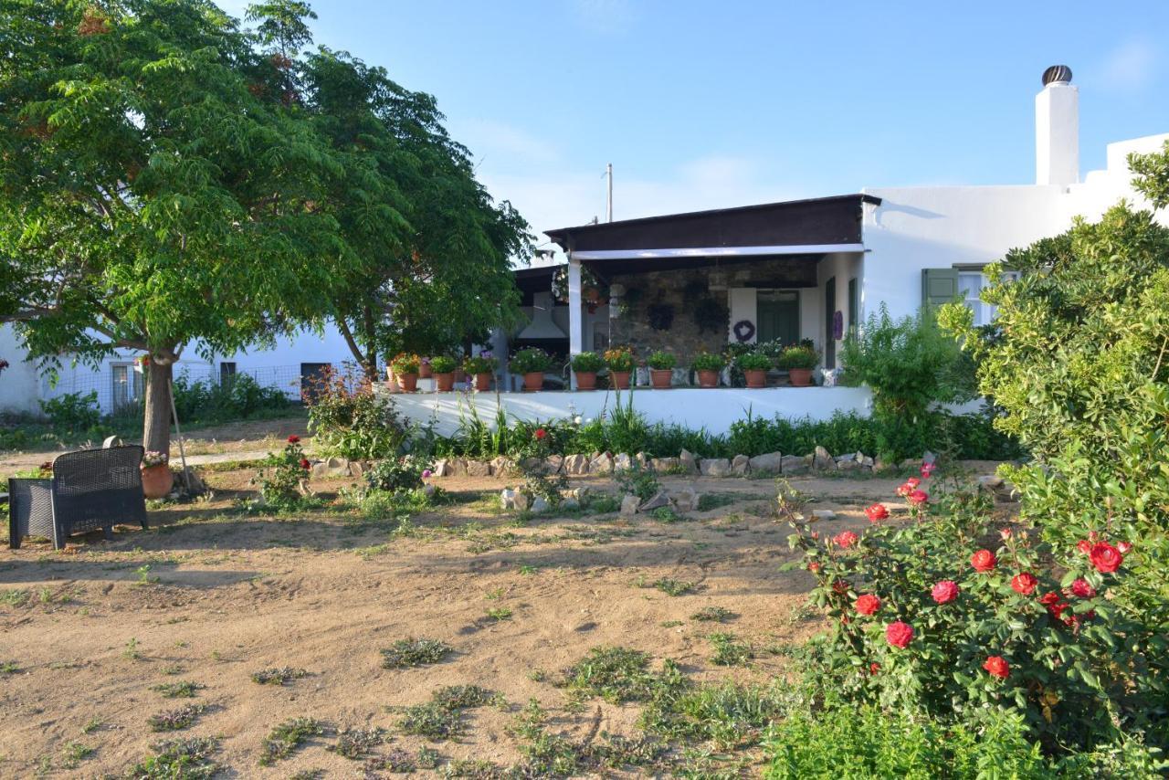Ktima Dimitrios Villa Naxos City Buitenkant foto