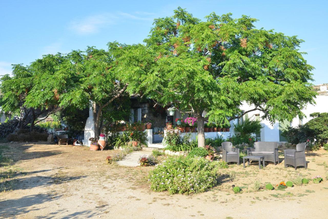 Ktima Dimitrios Villa Naxos City Buitenkant foto