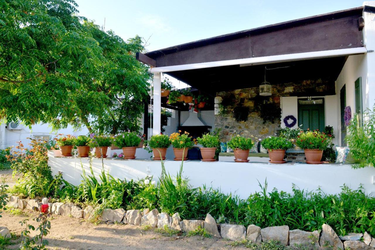 Ktima Dimitrios Villa Naxos City Buitenkant foto