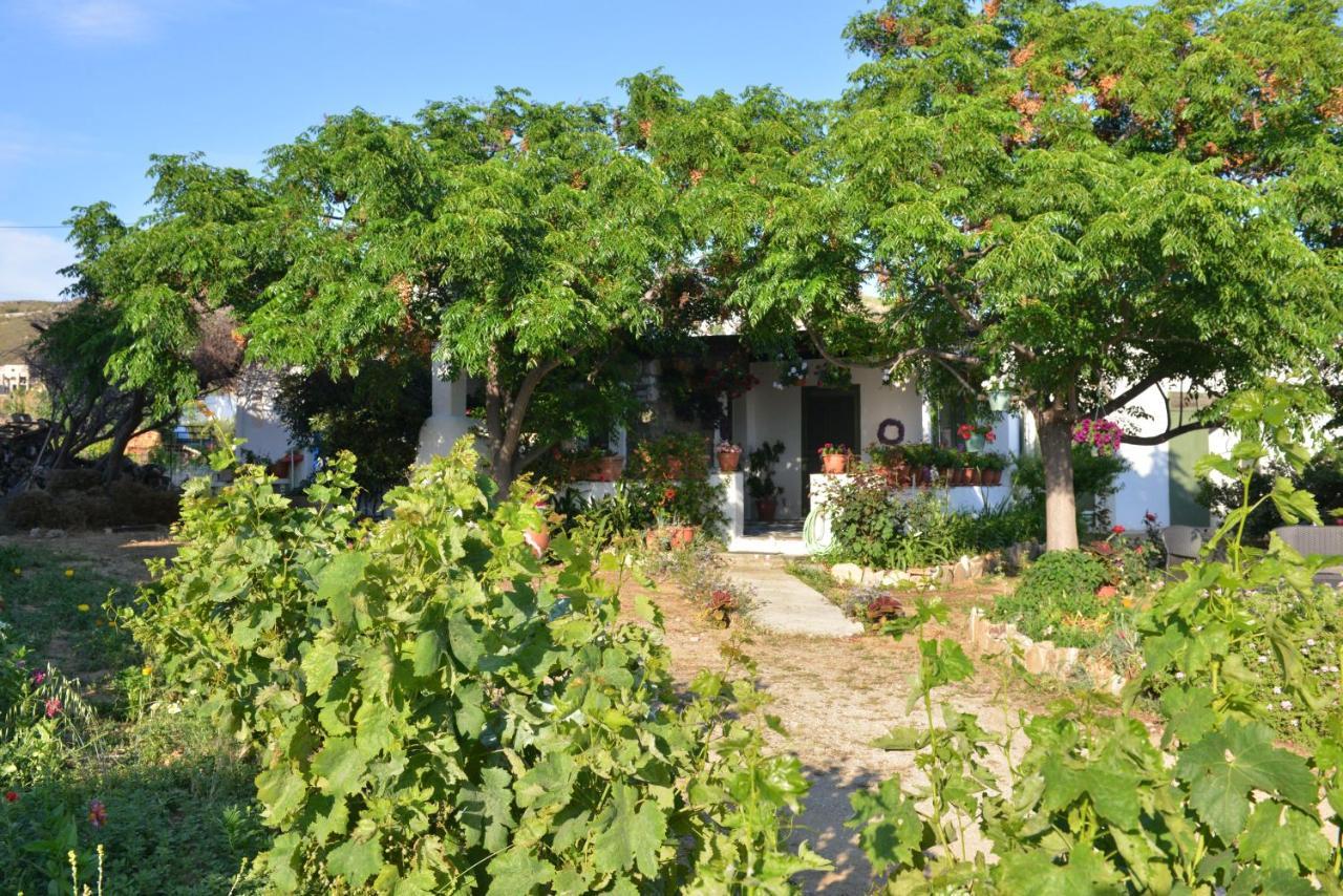 Ktima Dimitrios Villa Naxos City Buitenkant foto