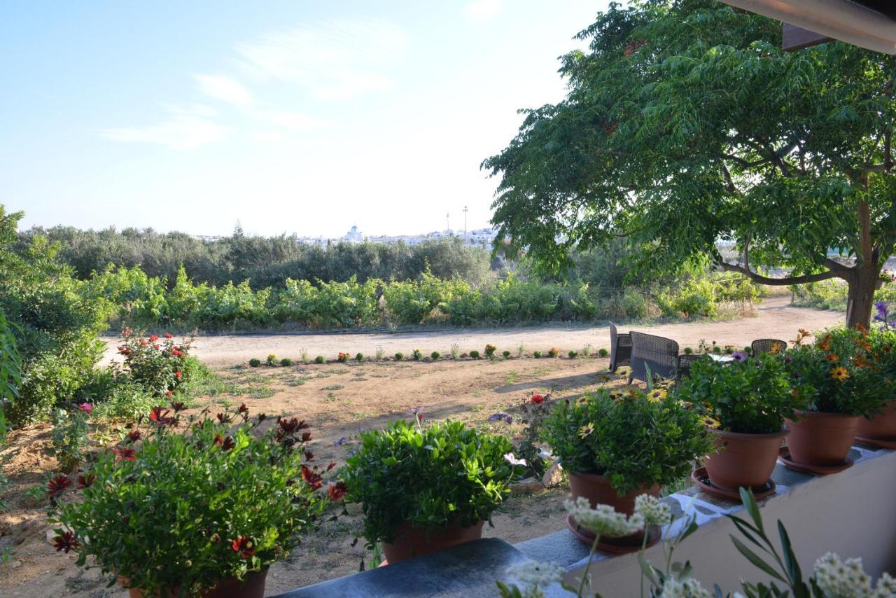 Ktima Dimitrios Villa Naxos City Buitenkant foto