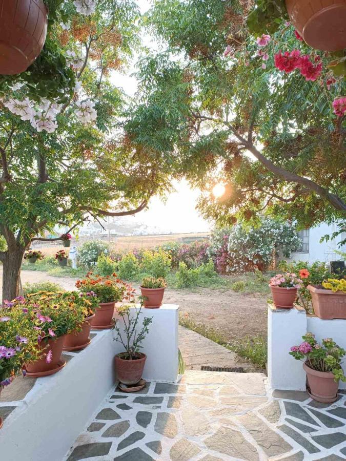 Ktima Dimitrios Villa Naxos City Buitenkant foto
