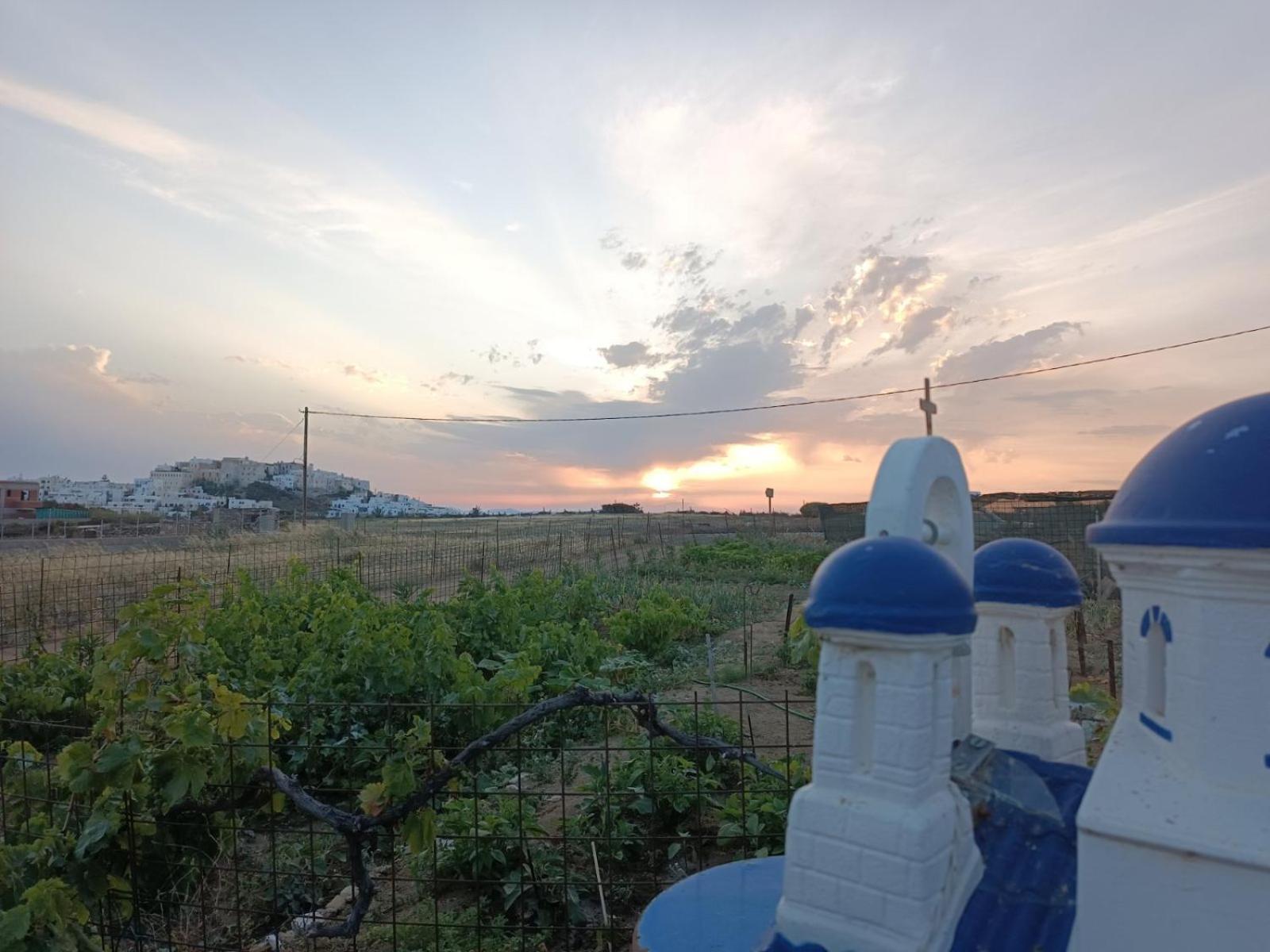 Ktima Dimitrios Villa Naxos City Buitenkant foto