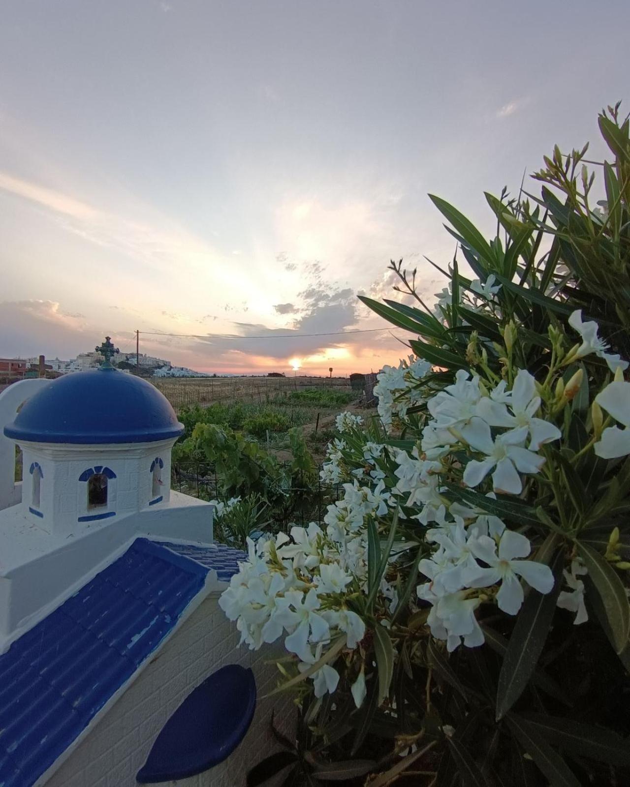 Ktima Dimitrios Villa Naxos City Buitenkant foto